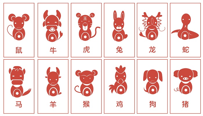白手起家指的是什么生肖