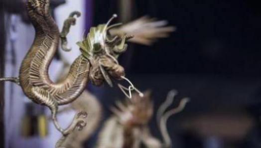 芙蓉代表什么生肖