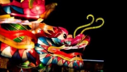 遥望此地是车马是什么生肖