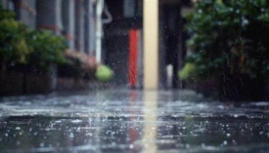 梦见被大雨淋湿是什么预兆