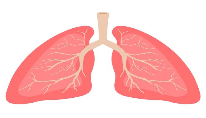梦见肺是什么意思 梦见肺有什么预兆