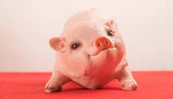 梦见猪是什么意思 梦见猪是什么预兆