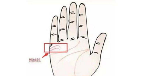女人婚姻线看哪只手 女人婚姻线怎么看图解