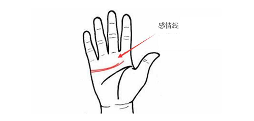 手相感情线怎么看几段姻缘 手相感情线长是什么意思