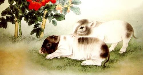 属猪人2023年运势运程 属猪人2023年运势运程每月运程