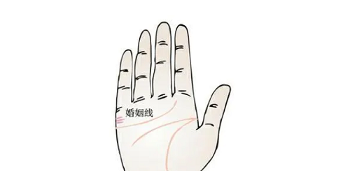 婚姻线怎么看几段姻缘图片 婚姻线怎么看几段姻缘知乎