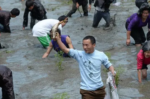 梦见别人抓鱼是什么征兆 已婚女人梦见别人抓鱼是什么意思