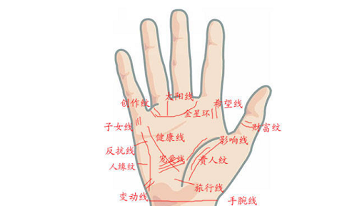 女人手掌纹路图解右手 女人手掌纹路图解右手断掌纹