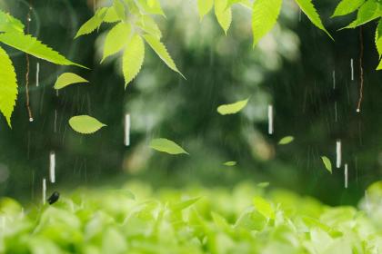 雨水节气要注意什么？雨水这天不能做什么