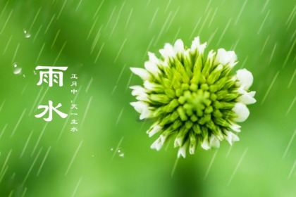 雨水节气的含义！雨水是春季的节气吗