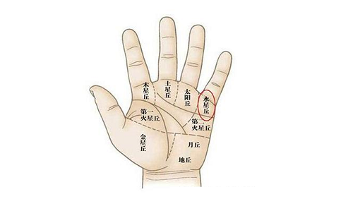 手相图解大全清晰图 手相图解大全