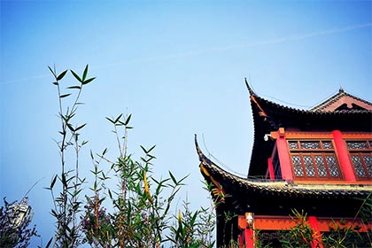 已婚属虎男卧室贴鸳鸯画_属虎房子装修什么颜色好