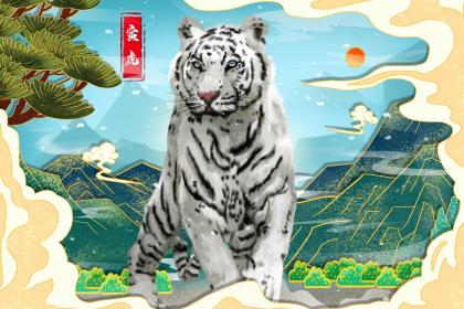 属虎女比属虎男小可婚配吗 属虎女在哪年会遇到缘分