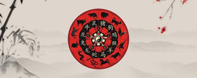 1974年属虎人48岁后一生命运