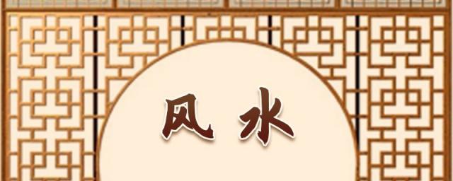 橡皮树的寓意与风水