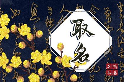 怎么样的公司名才能给公司带来财运？ 免费公司取名详解