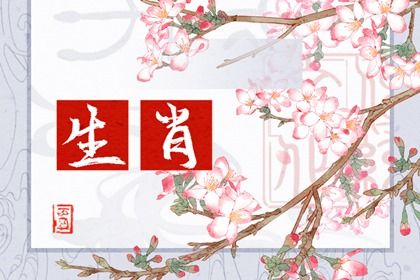今日属相相冲生肖查询 本日冲什么属相