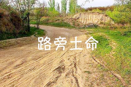 八字路旁土命适合做什么行业