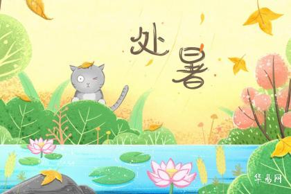处暑送鸭,无病各家是什么意思