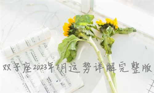 双子座2023年7月运势详解完整版 双子座2023年7月份感情运势