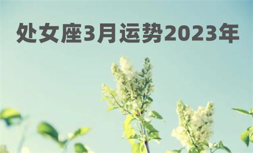 处女座3月运势2023年 处女座3月运势查询2023