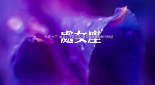 2023年下半年处女座的运势如何 2023年下半年处女座的事业运如何
