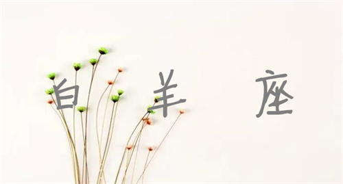 白羊座2023年下半年运势 白羊座2023年下半年运势如何