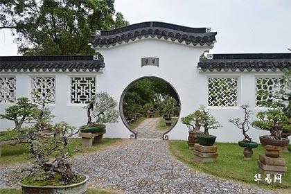 年柱大林木月柱大溪水是什么八字 命主有什么特点