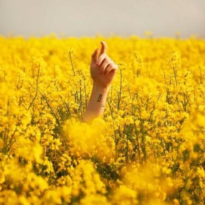 水性杨花的女人有哪些面相特征