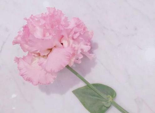 86年属虎的人运势怎么样