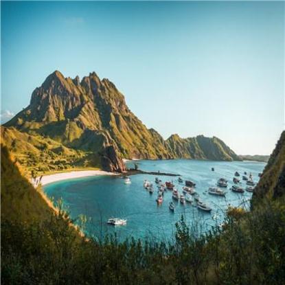 梦见买苹果乱了丢了是什么意思