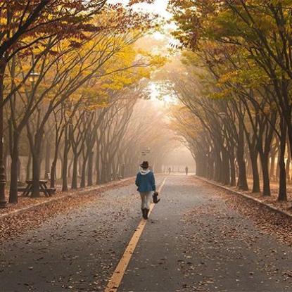 2023年10月5日是什么日子啊,10月5日是什么节日」