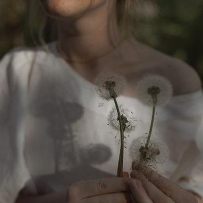 蓝玫瑰花语与寓意:追寻不可能的爱情