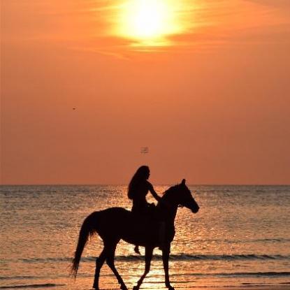 七夕九天代表什么生肖「七夕九天代表什么生肖最好」