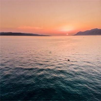 人才济济指什么生肖「人才济济指什么生肖的动物」